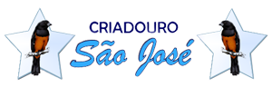 Vídeos | Criadouro São José - Curió Praia Clássico - Caxias/MA